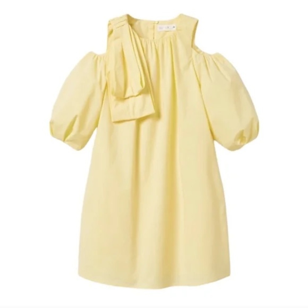 Zara Poplin dress size 7